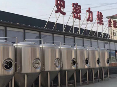 三亚精酿啤酒设备厂—市场规模与跨界新需求
